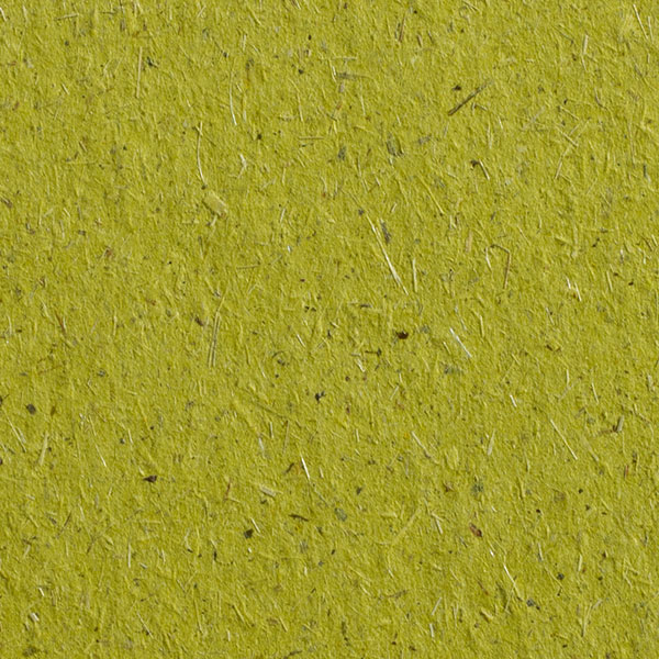 Chlorophyllpapier